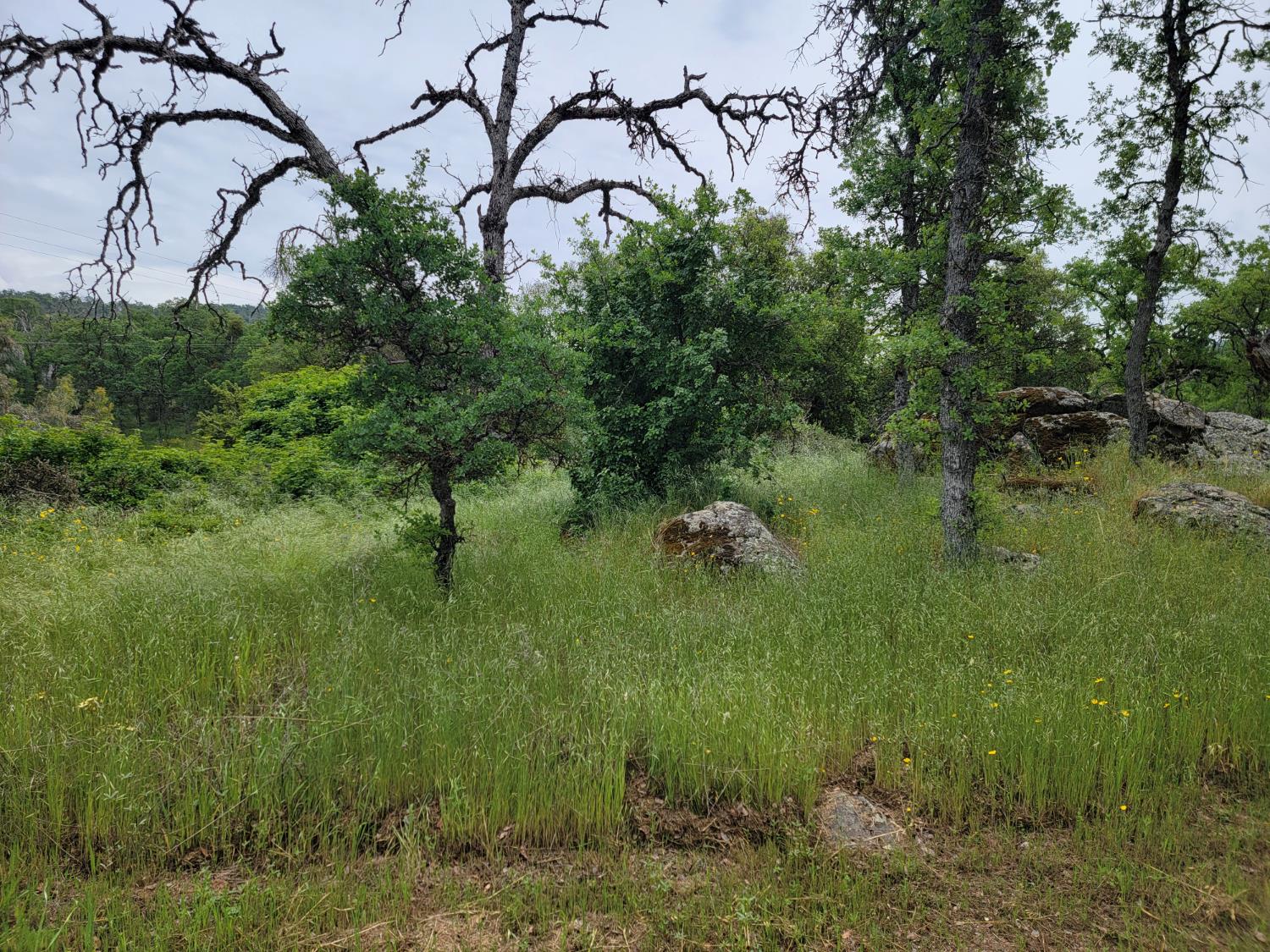 0 Lot 3 Sage Lane, Yokuts Valley, CA 93675