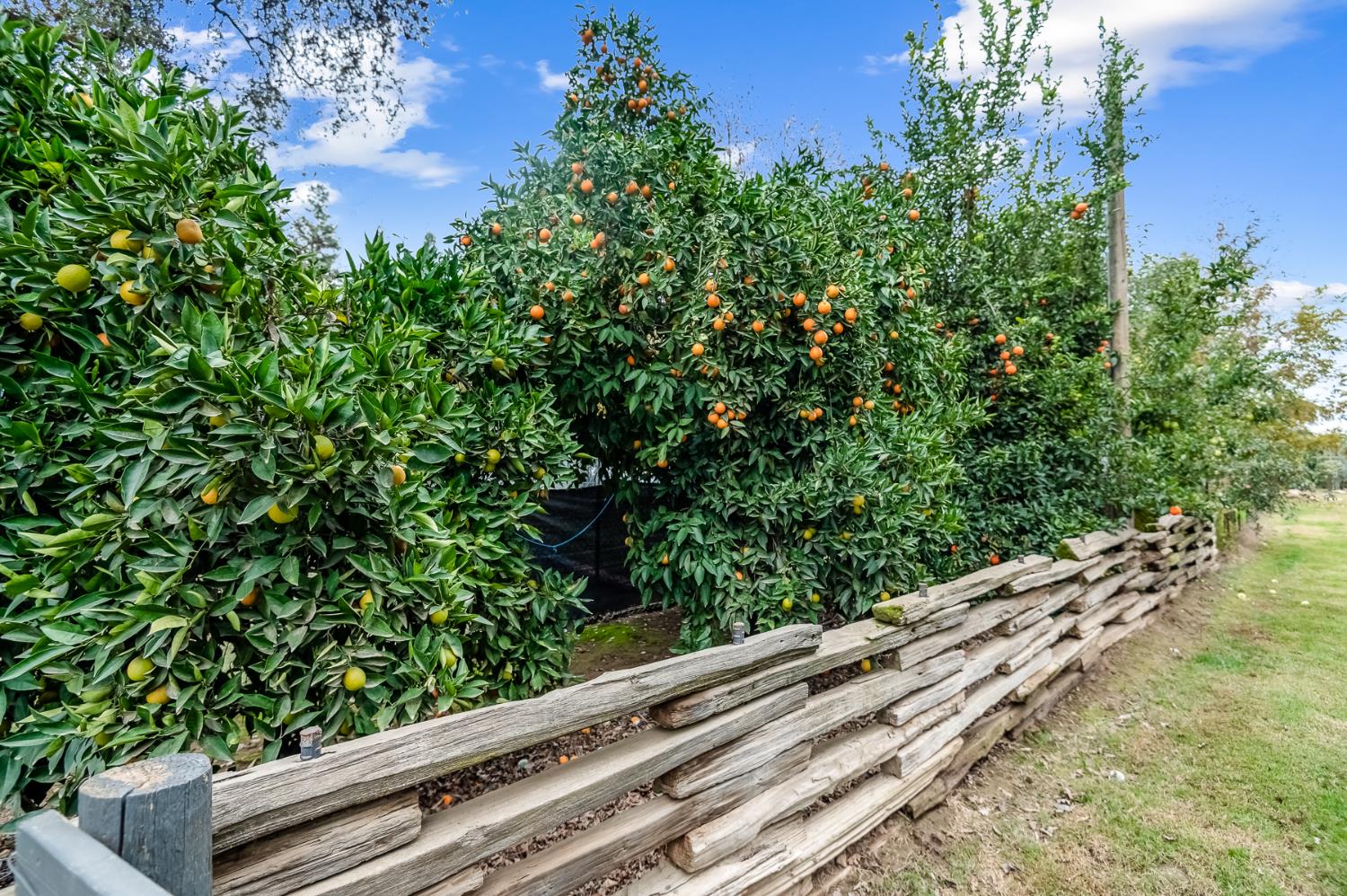 18701 Lort Dr, Visalia, CA 93292