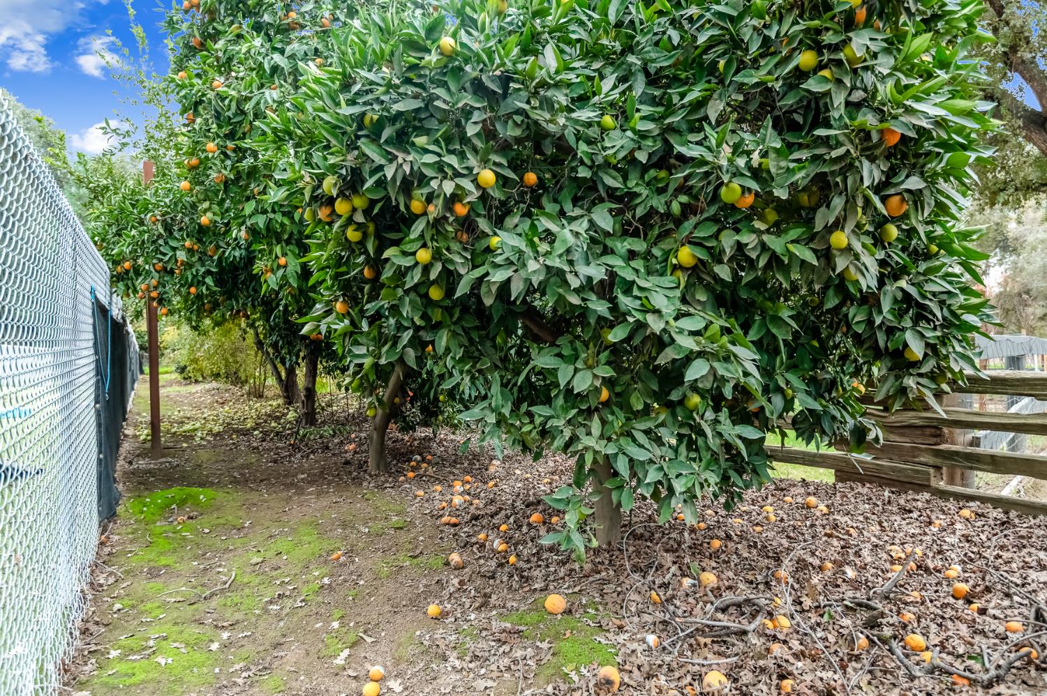 18701 Lort Dr, Visalia, CA 93292