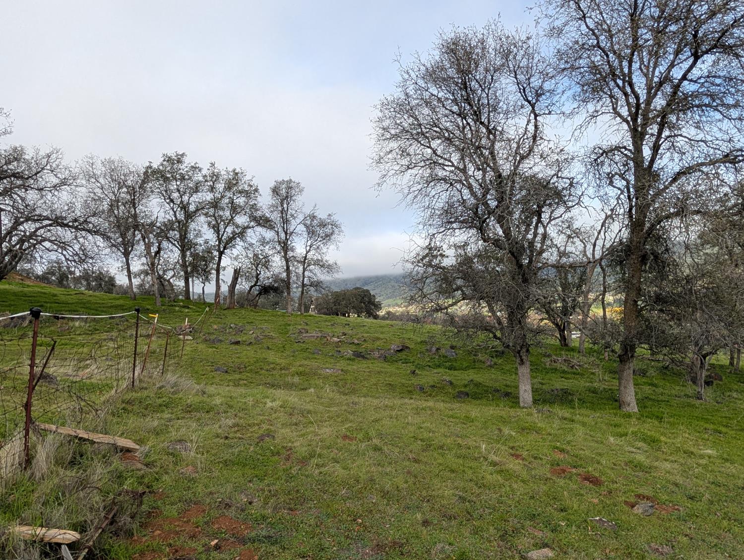 7079 Palomino Dr, Sanger, CA 93657