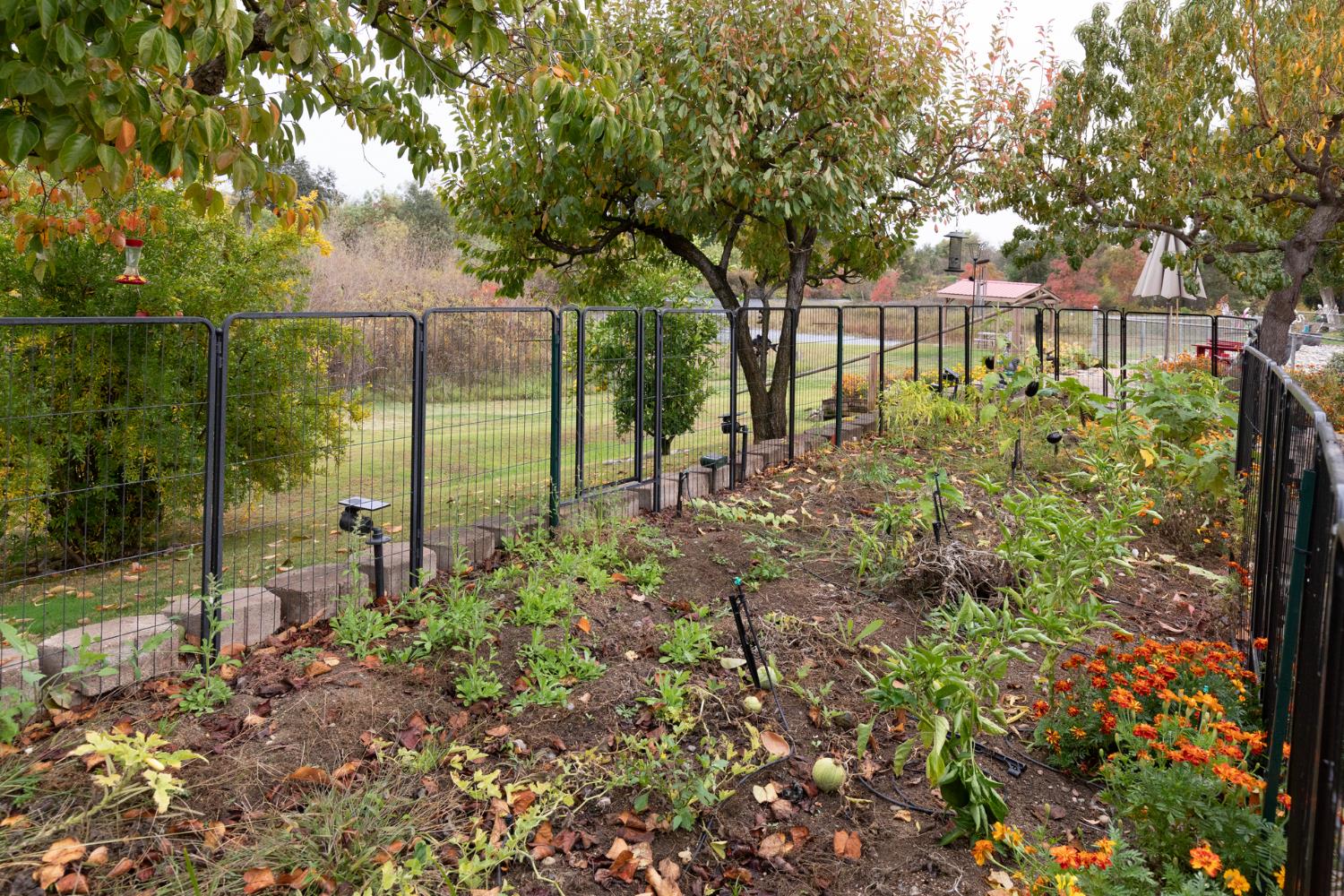 8701 Highway 41 #8, Fresno, CA 93720