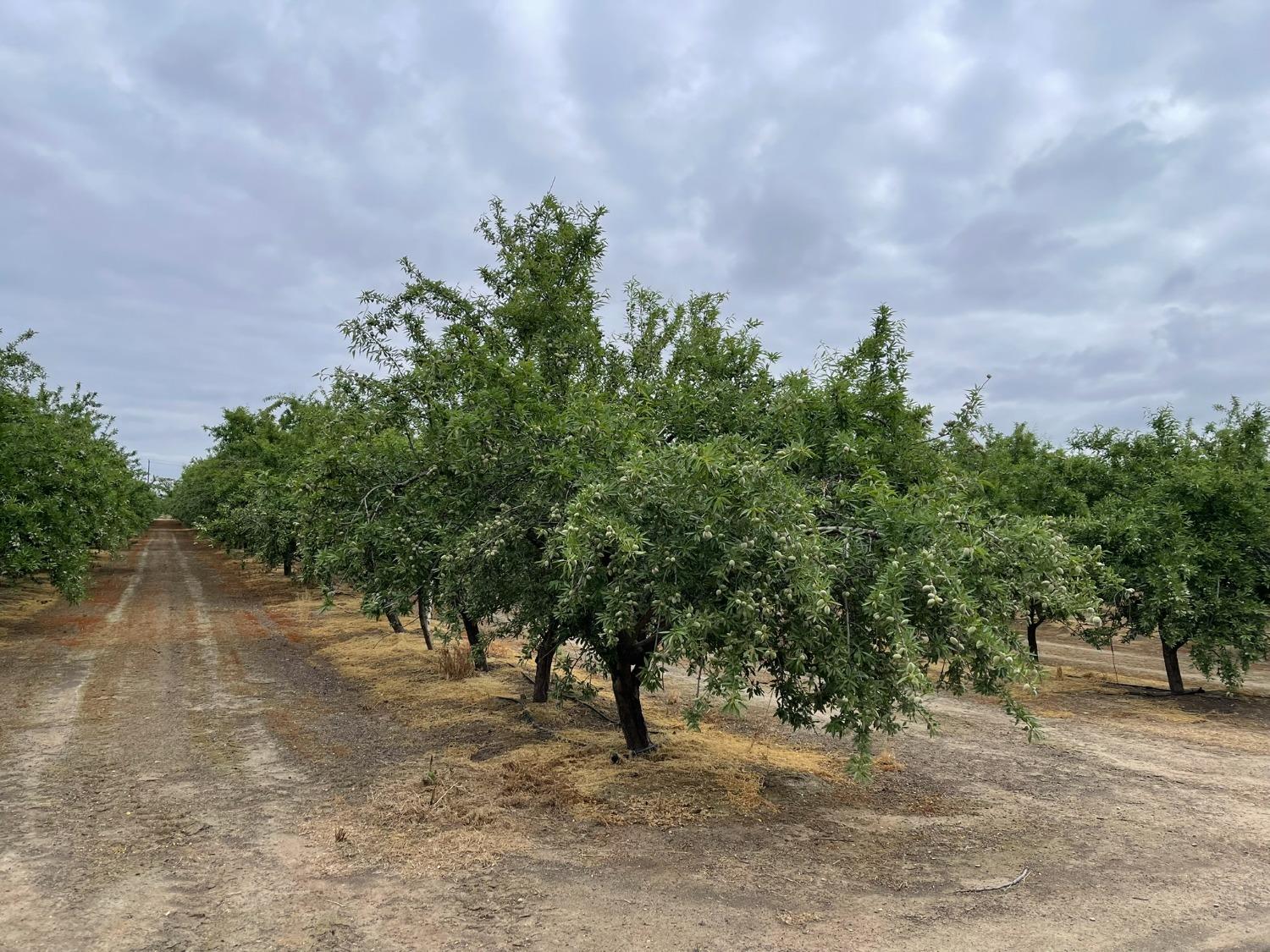 29630 hwy 145, Madera, CA 93638