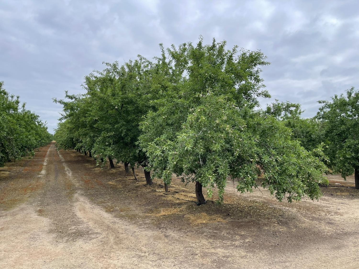 29630 hwy 145, Madera, CA 93638