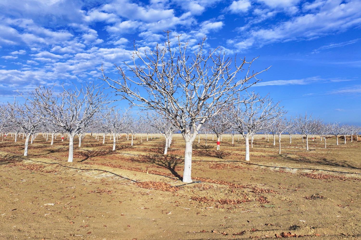 0 0 W Conejo Ave, Cantua Creek, CA 93608