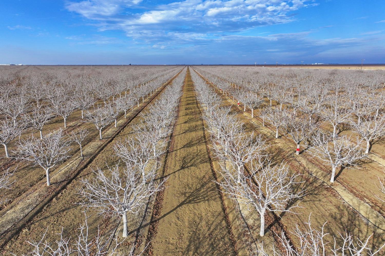 0 0 W Conejo Ave, Cantua Creek, CA 93608