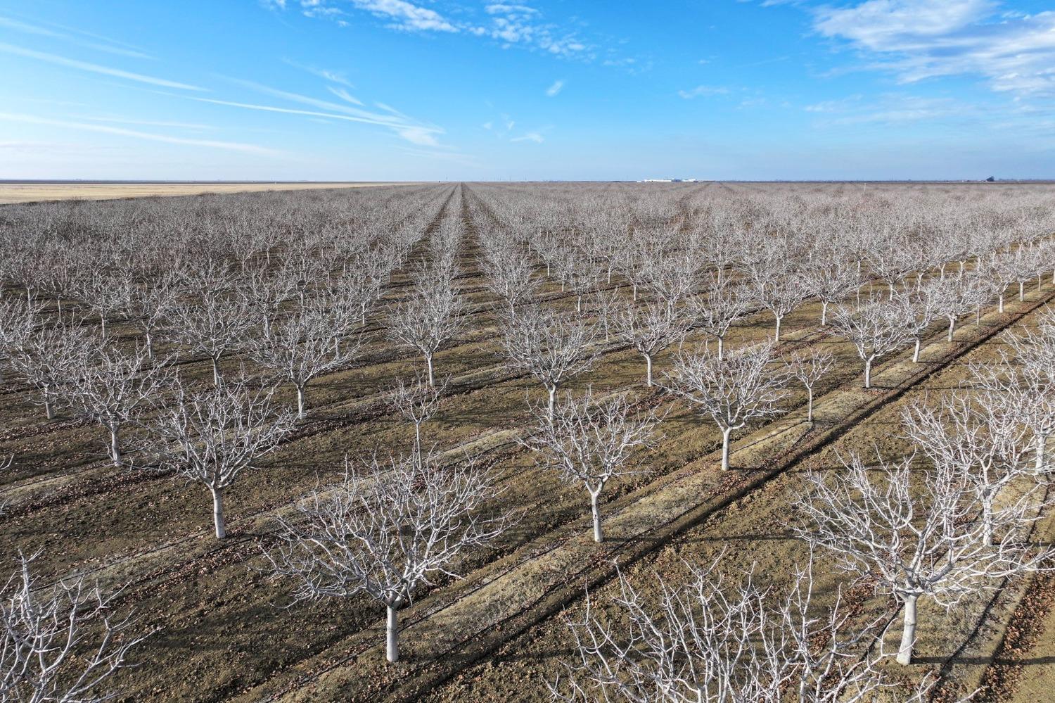 0 0 W Conejo Ave, Cantua Creek, CA 93608