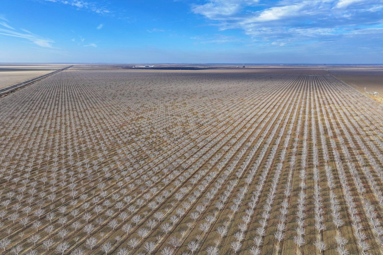 0 0 W Conejo Ave, Cantua Creek, CA 93608