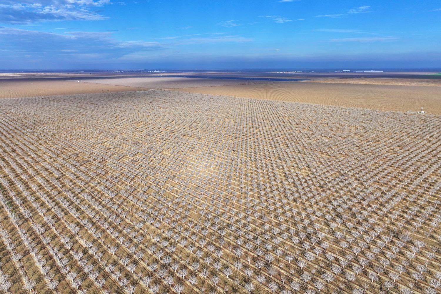 0 0 W Conejo Ave, Cantua Creek, CA 93608