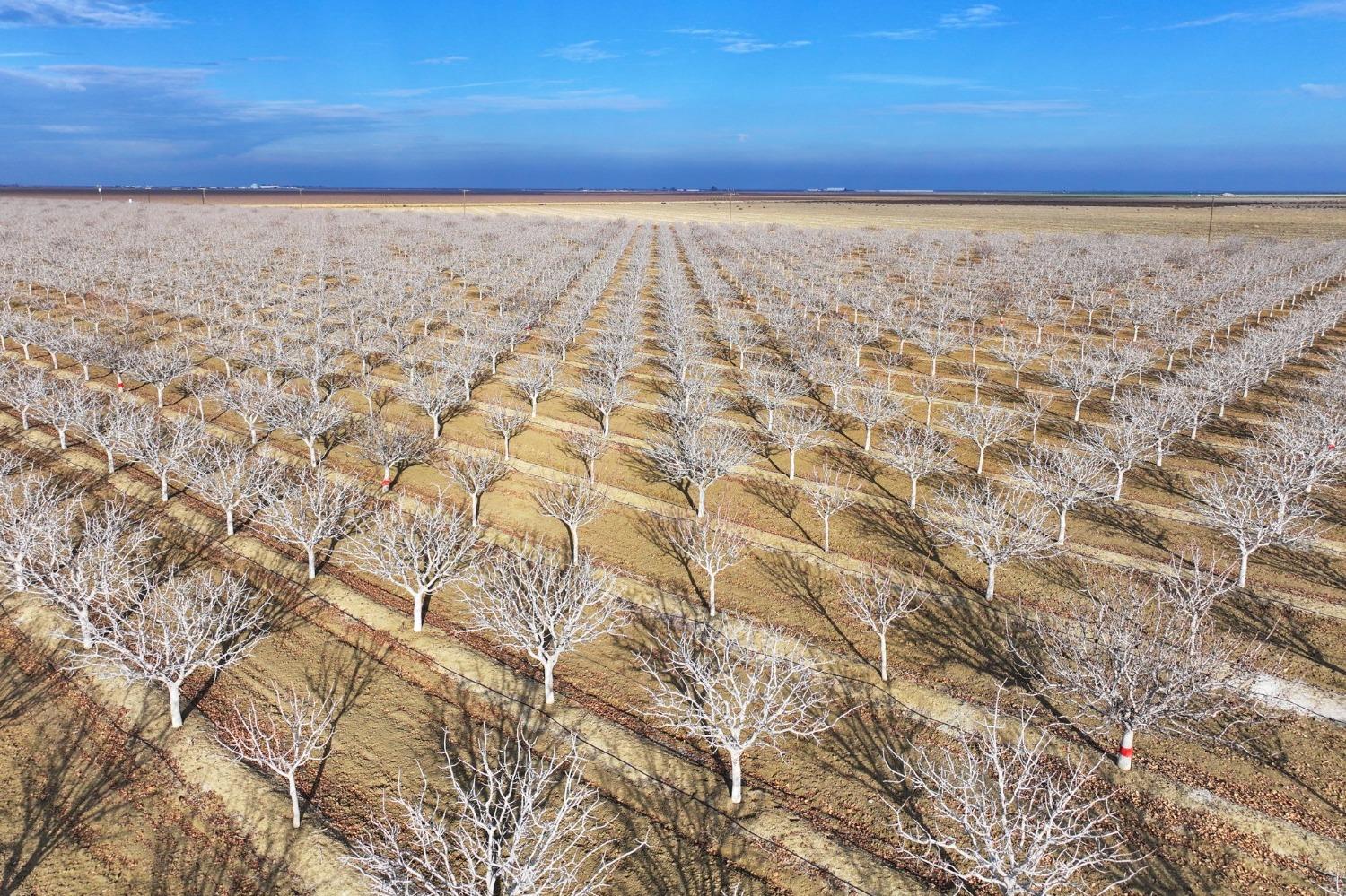 0 0 W Conejo Ave, Cantua Creek, CA 93608