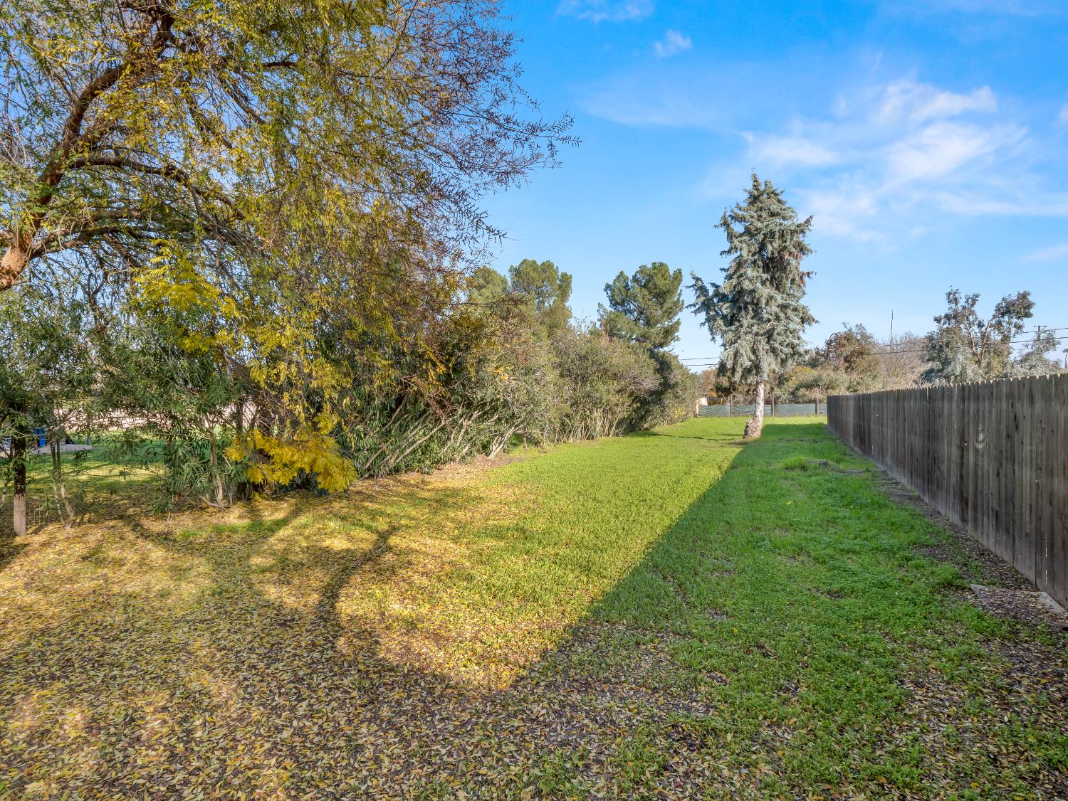 4430 N Teilman Ave, Fresno, CA 93705