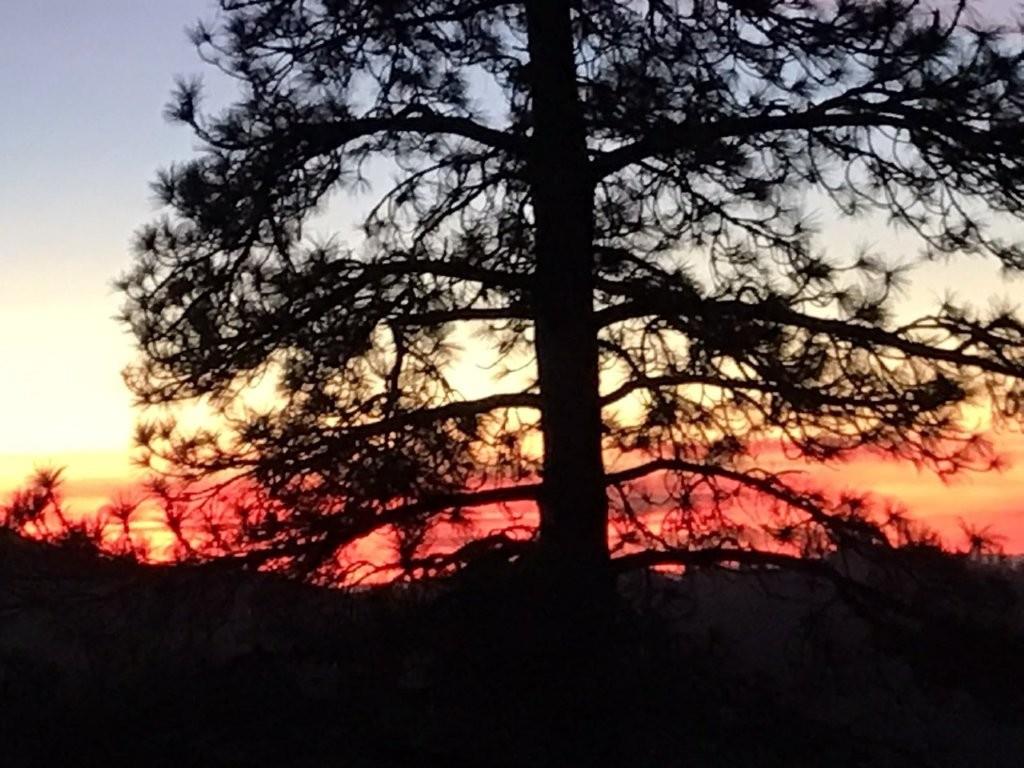 7501 Yosemite Park Way, Yosemite West, CA 95389