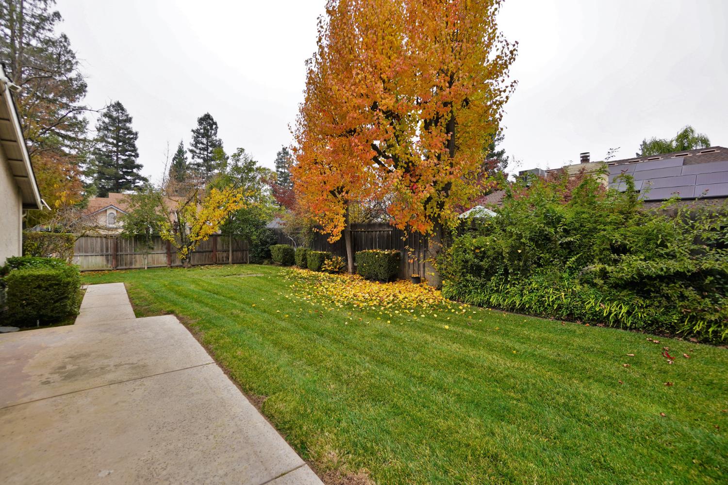 1230 W Sierra Ave, Fresno, CA 93711