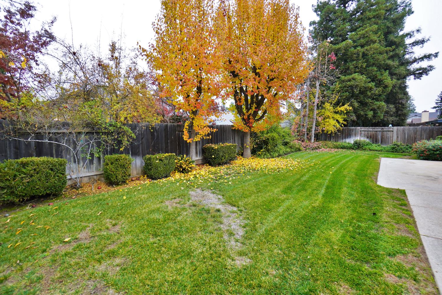 1230 W Sierra Ave, Fresno, CA 93711