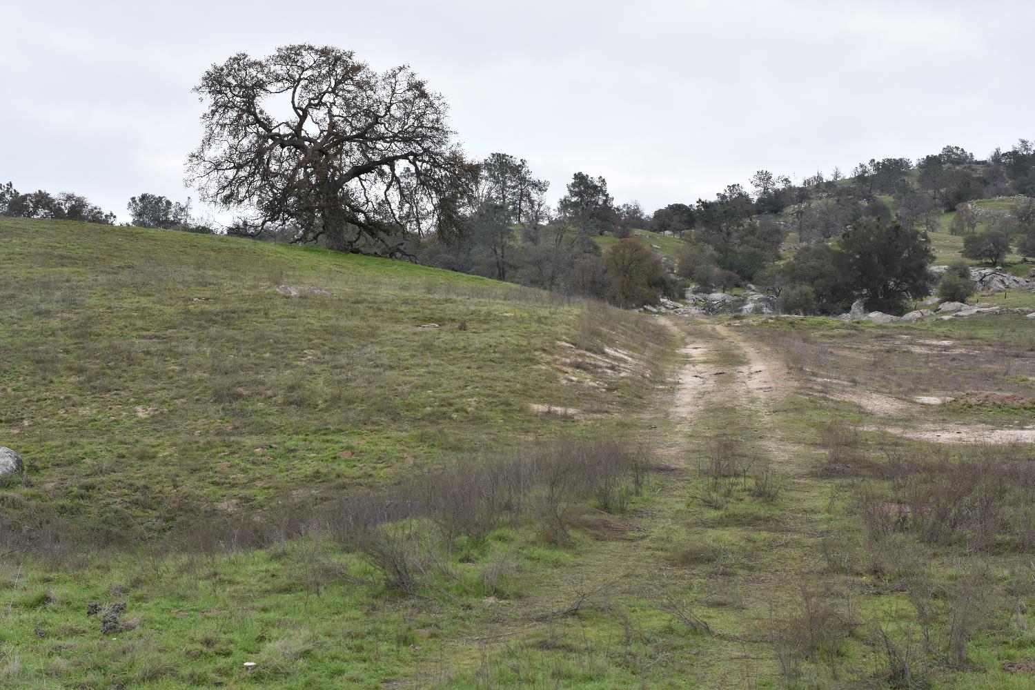 42055 Road 406, Coarsegold, CA 93614