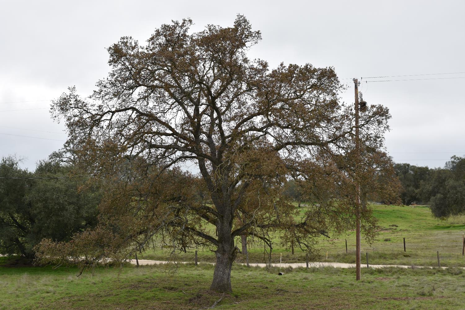 42055 Road 406, Coarsegold, CA 93614