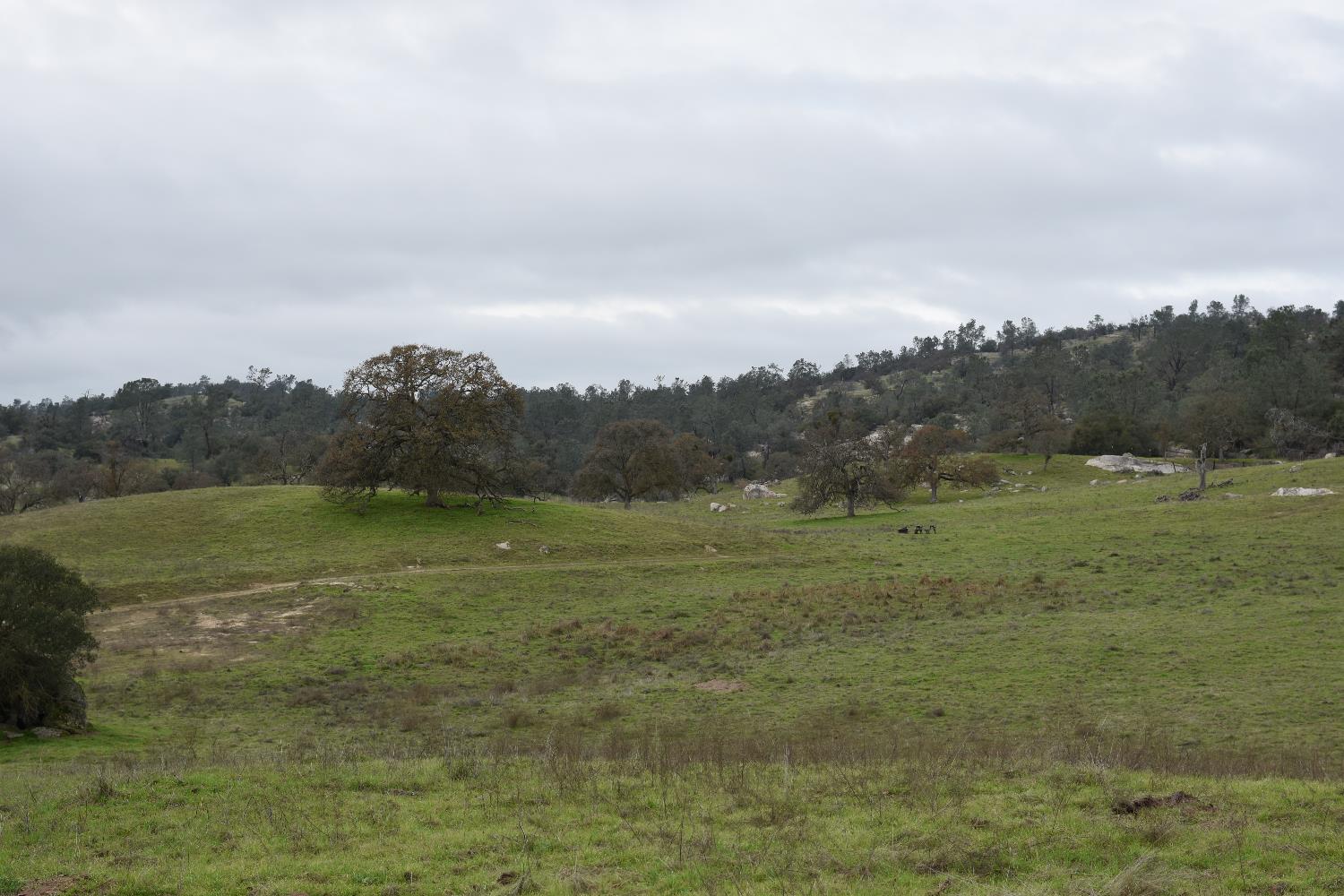 42055 Road 406, Coarsegold, CA 93614