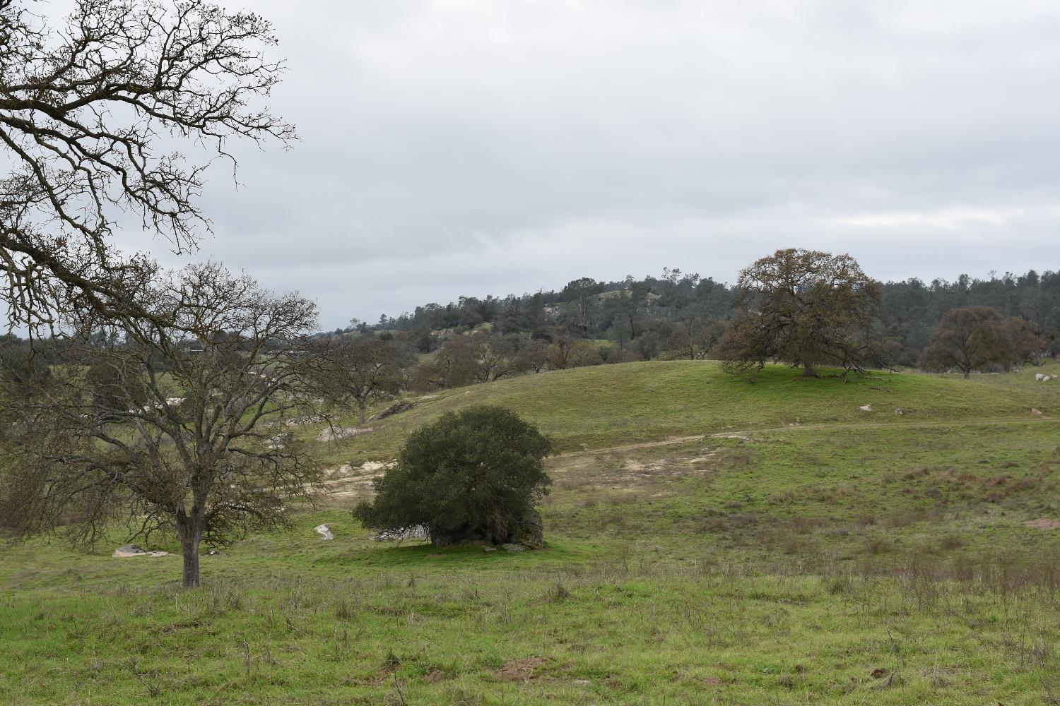 42055 Road 406, Coarsegold, CA 93614