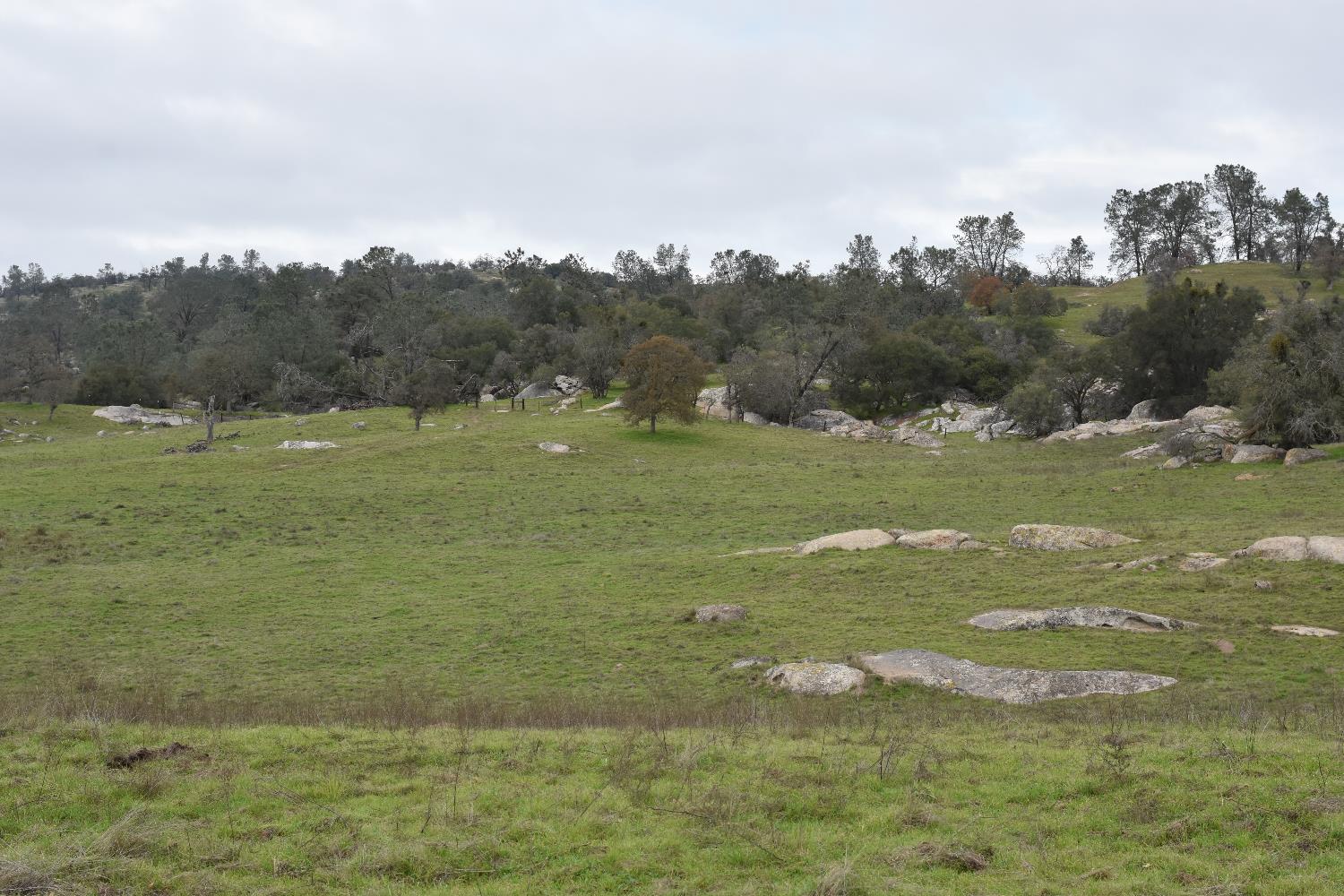 42055 Road 406, Coarsegold, CA 93614