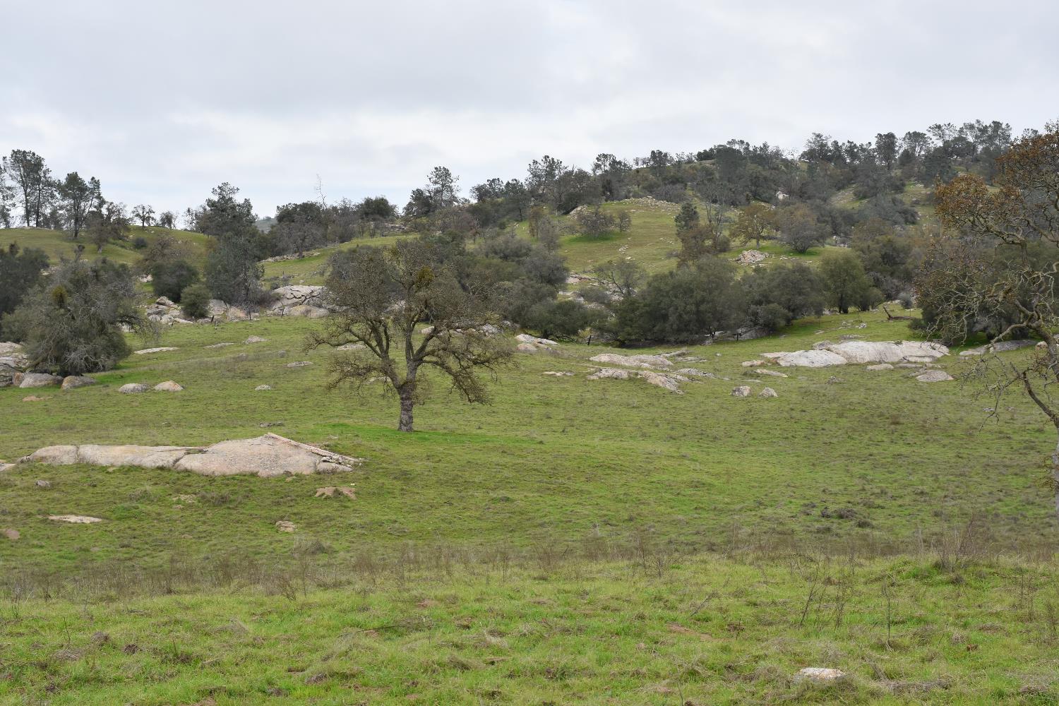 42055 Road 406, Coarsegold, CA 93614