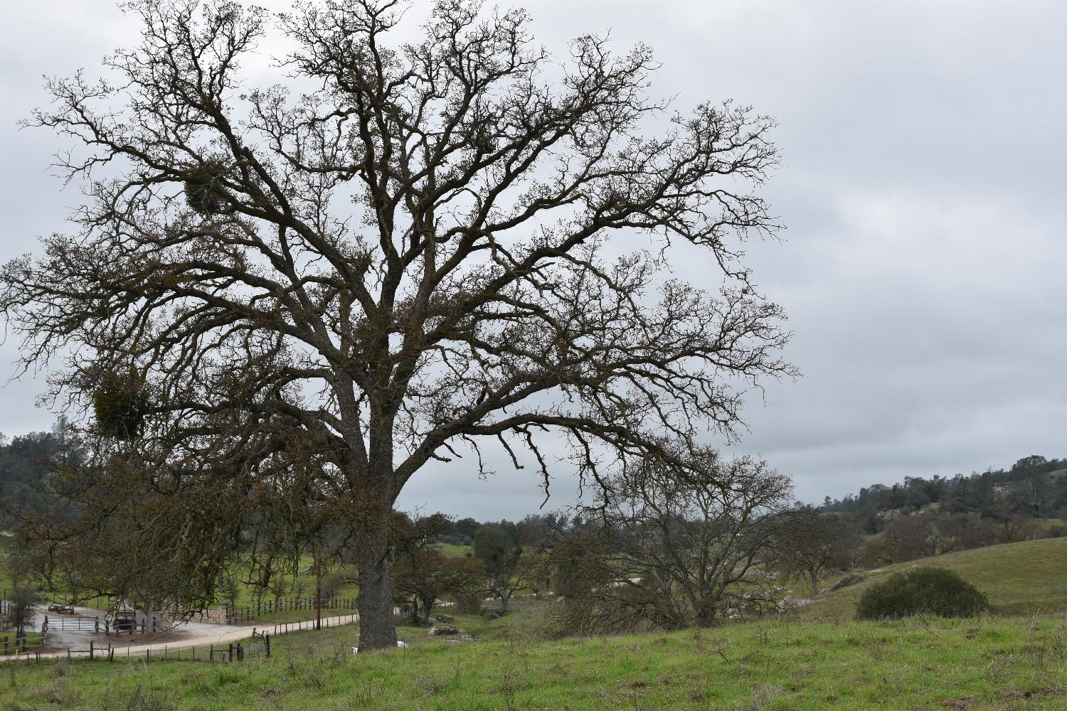 42055 Road 406, Coarsegold, CA 93614