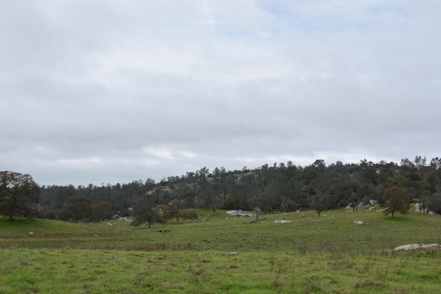 42055 Road 406, Coarsegold, CA 93614