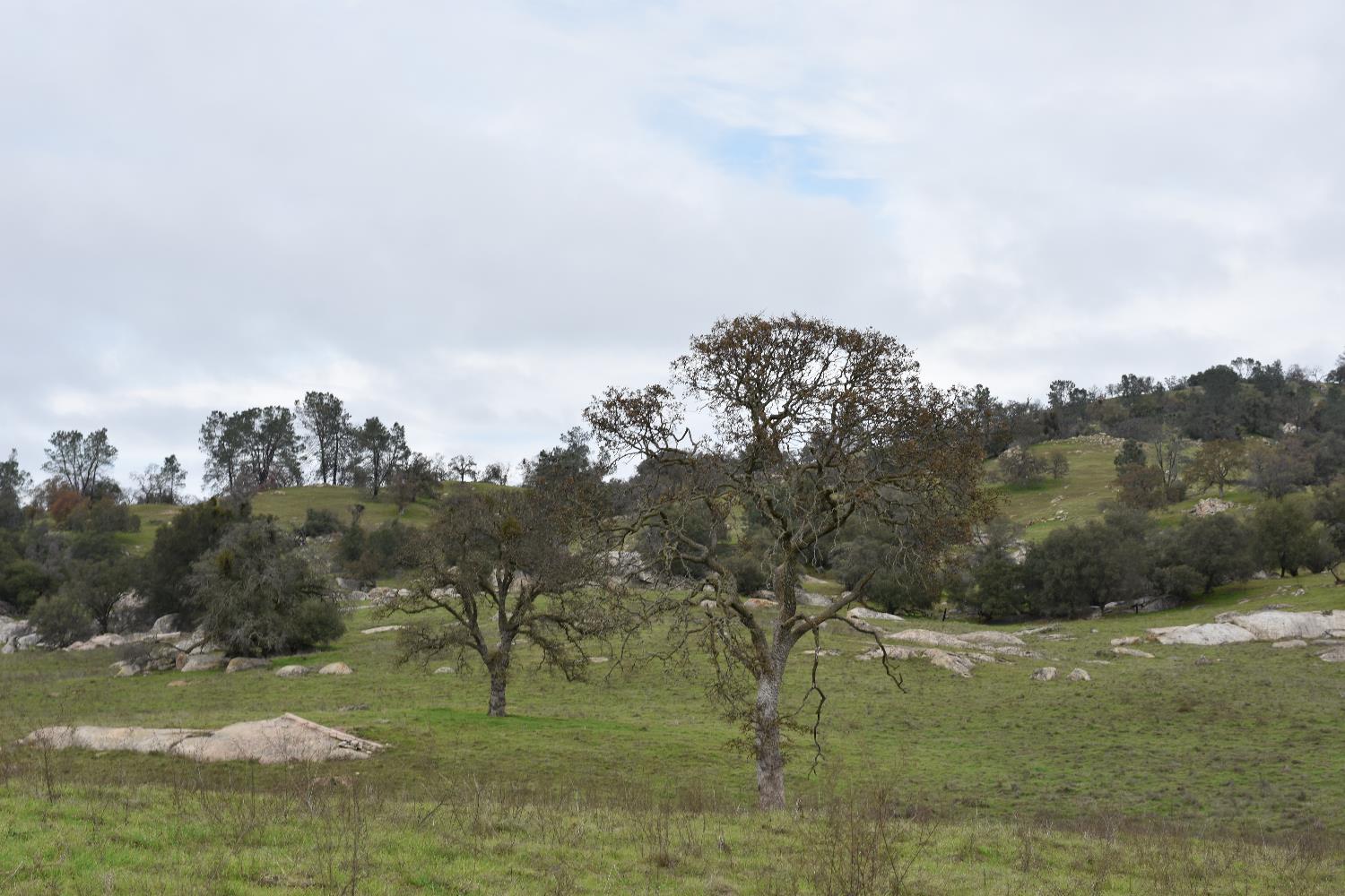 42055 Road 406, Coarsegold, CA 93614