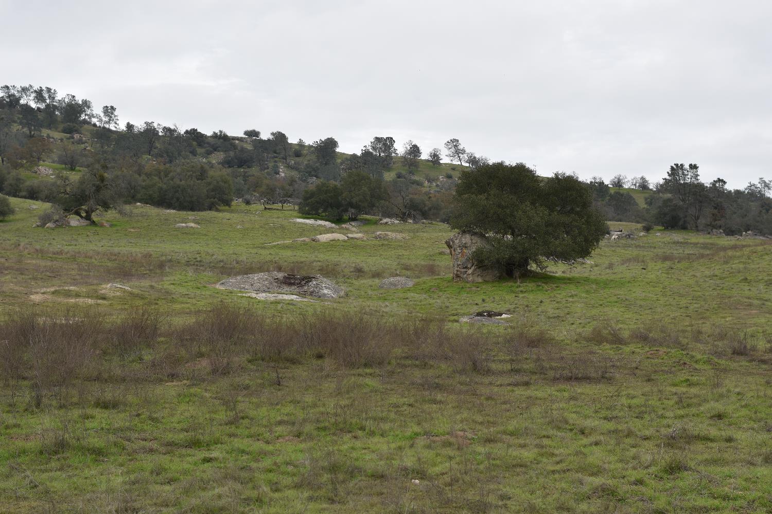 42055 Road 406, Coarsegold, CA 93614