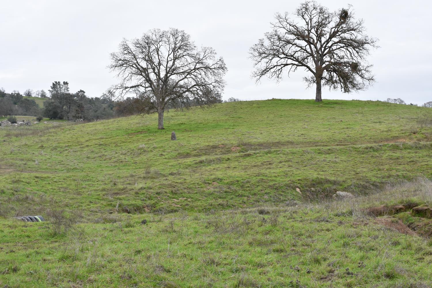 42055 Road 406, Coarsegold, CA 93614