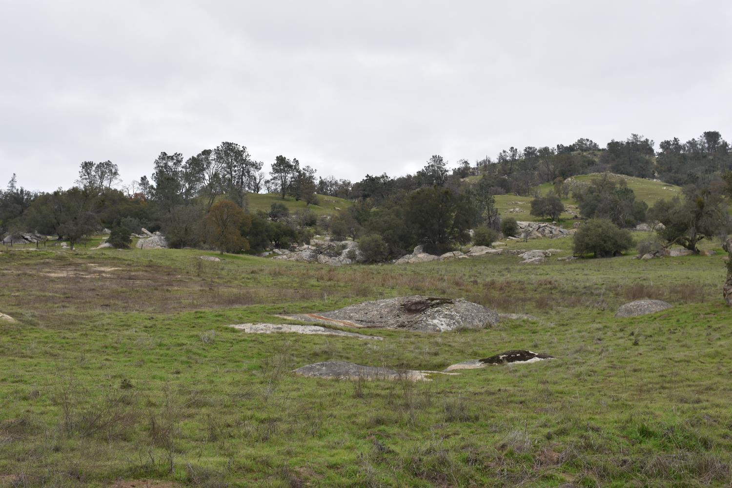 42055 Road 406, Coarsegold, CA 93614