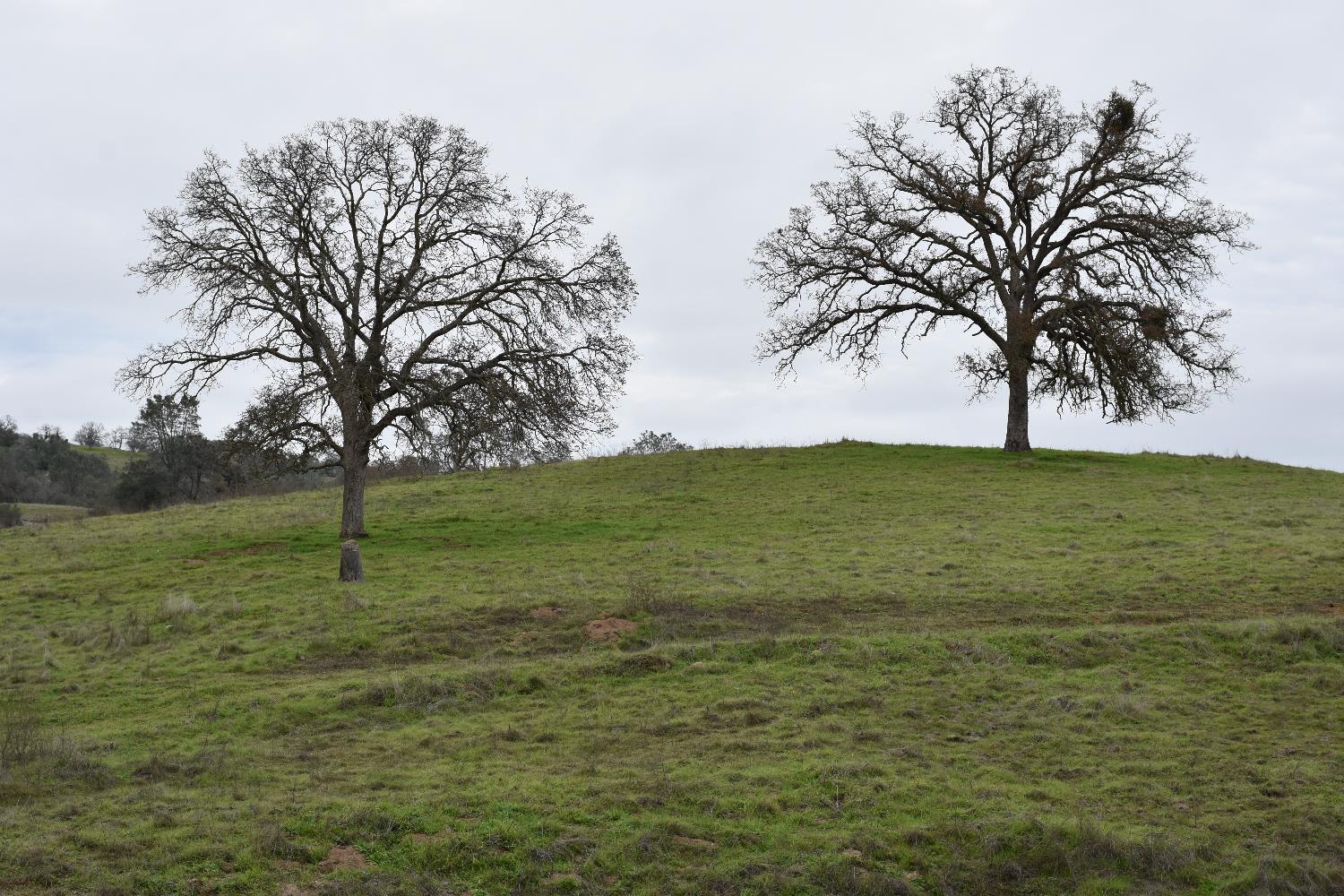 42055 Road 406, Coarsegold, CA 93614