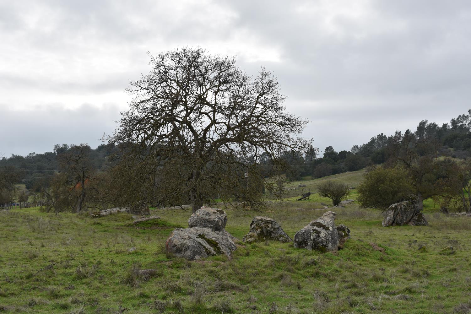 42055 Road 406, Coarsegold, CA 93614