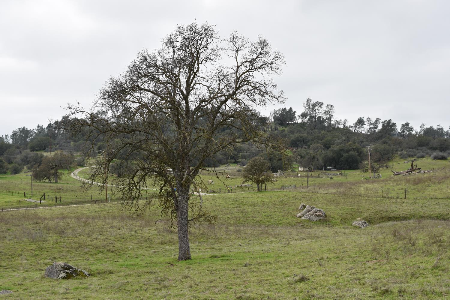 42055 Road 406, Coarsegold, CA 93614