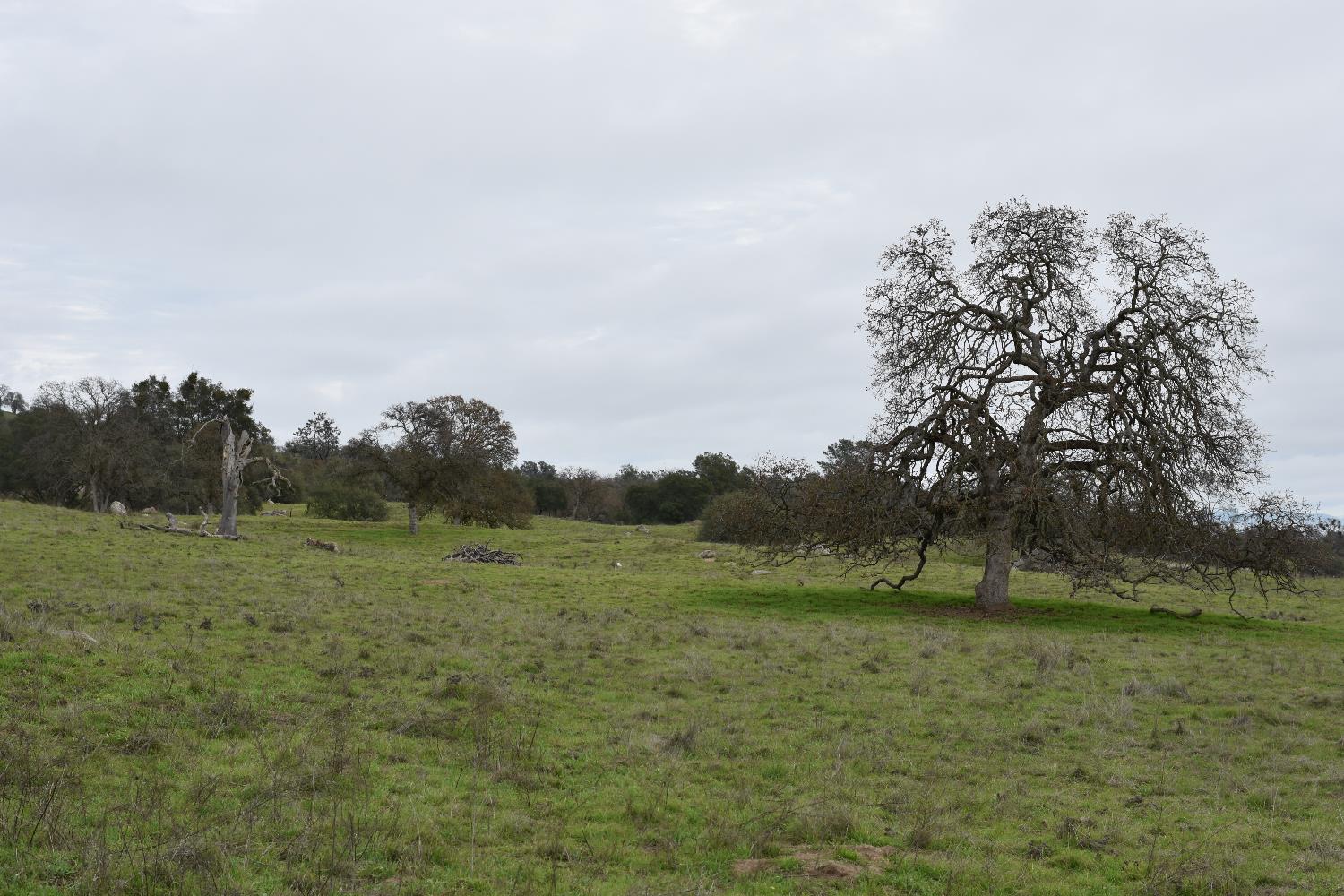 42055 Road 406, Coarsegold, CA 93614