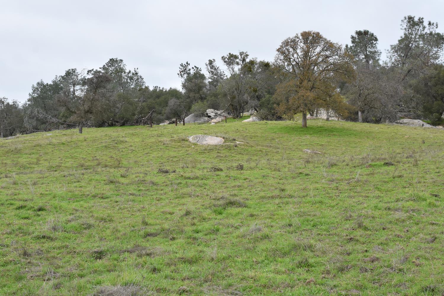 42055 Road 406, Coarsegold, CA 93614