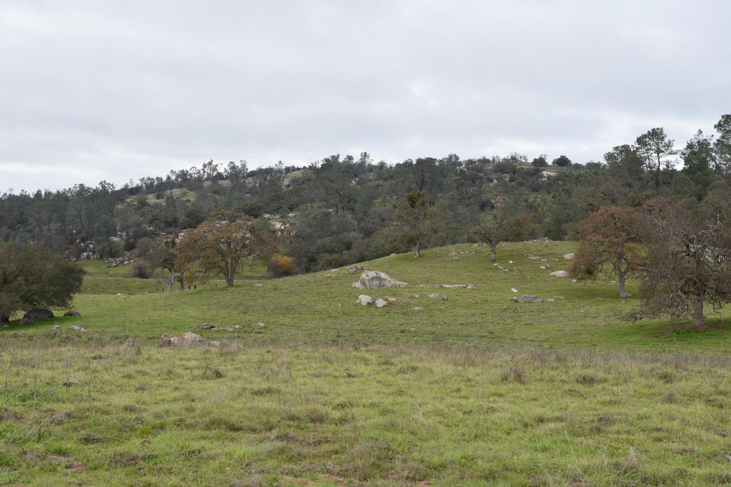 42055 Road 406, Coarsegold, CA 93614