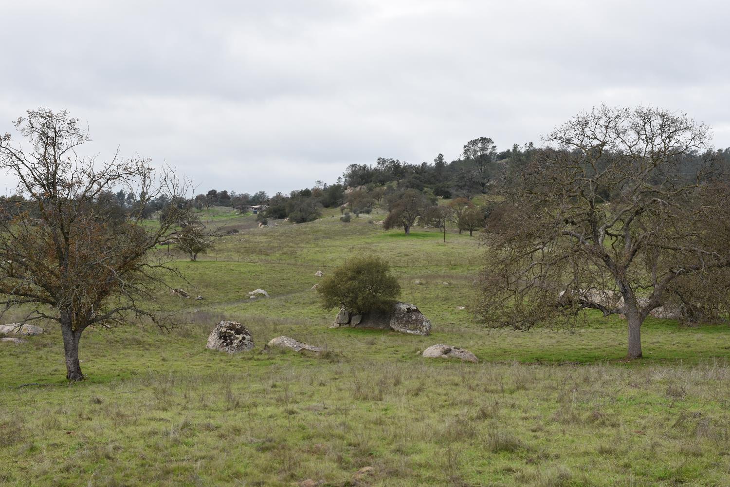 42055 Road 406, Coarsegold, CA 93614