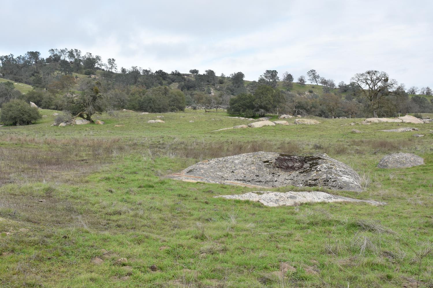 42055 Road 406, Coarsegold, CA 93614