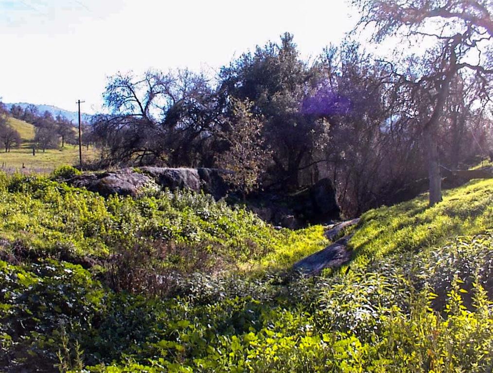 37702 Squaw Valley Rd, Yokuts Valley, CA 93675