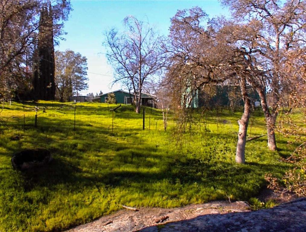 37702 Squaw Valley Rd, Yokuts Valley, CA 93675