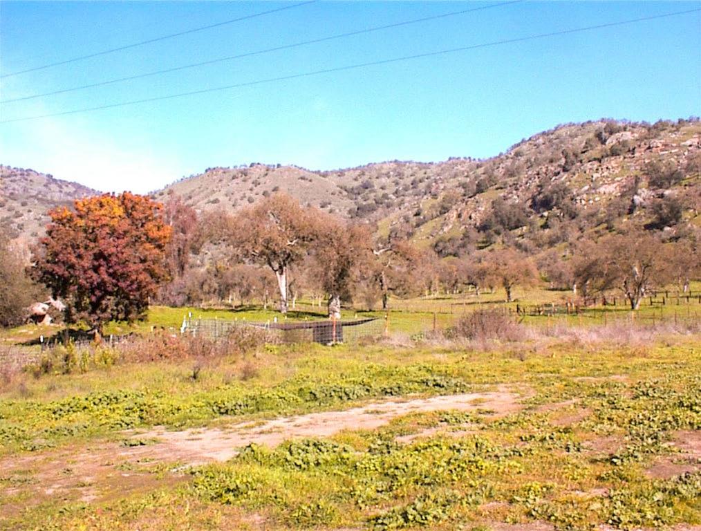 37702 Squaw Valley Rd, Yokuts Valley, CA 93675