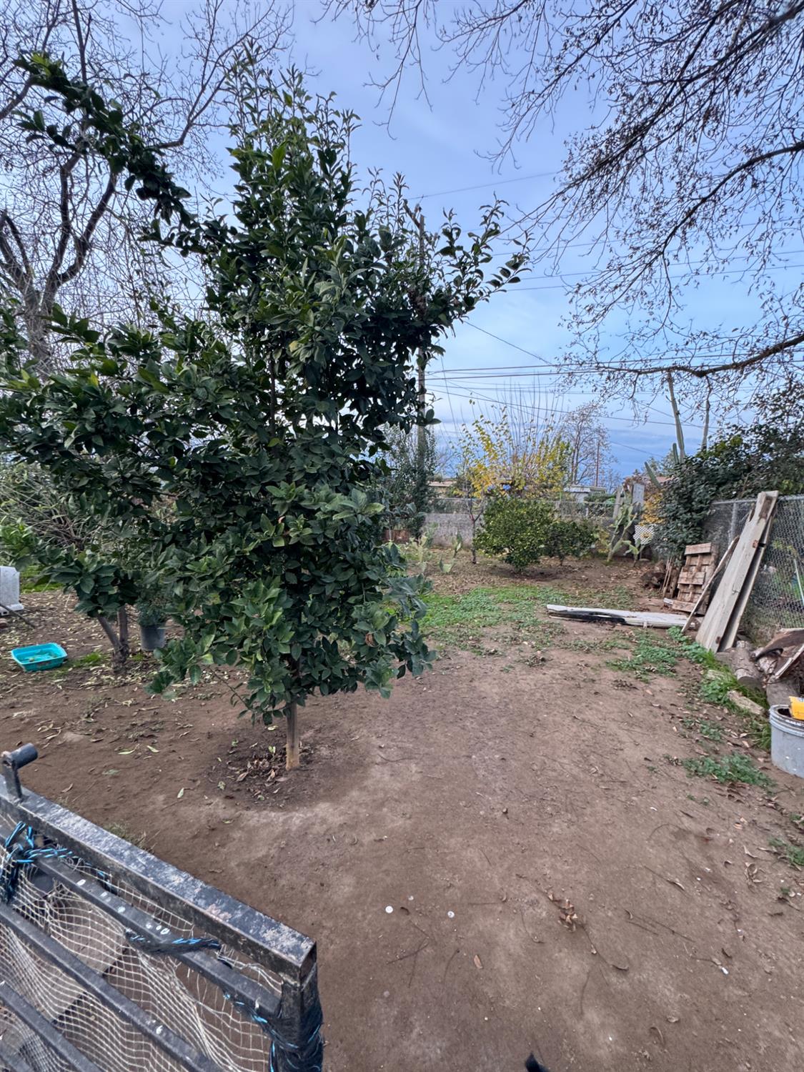 1123 E Garrett Ave, Fresno, CA 93706