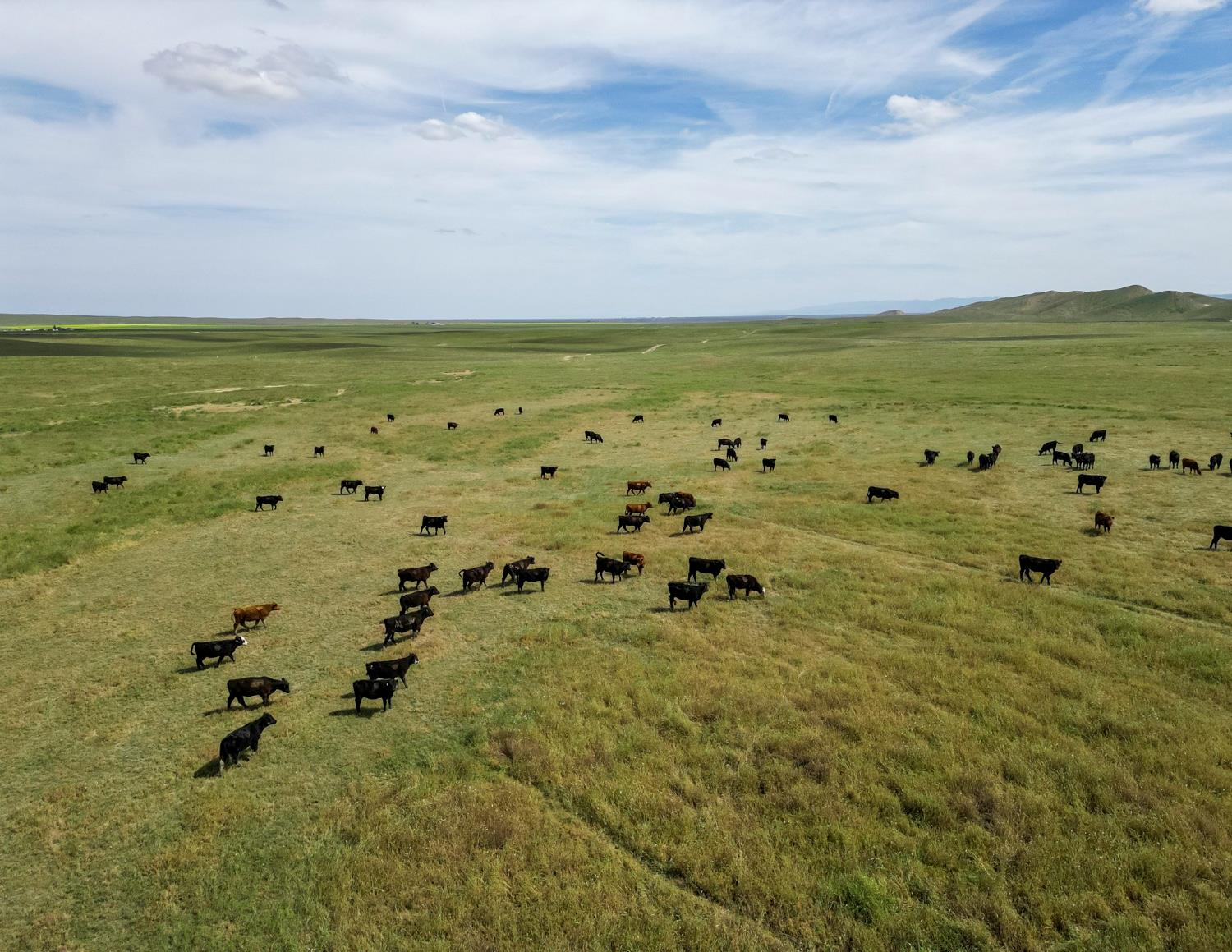 0 0 Barker Rd, Lost Hills, CA 93249