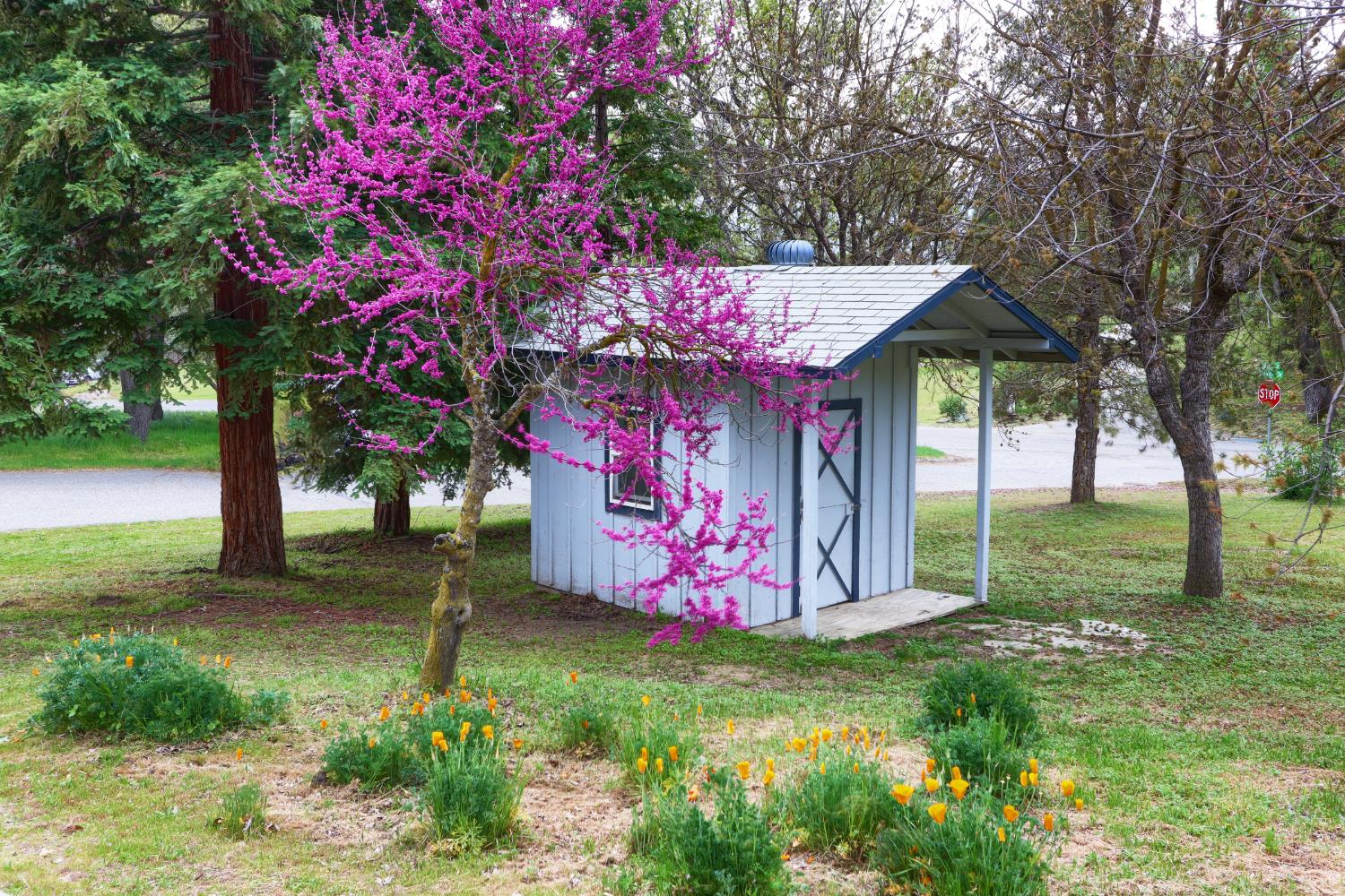 41820 Dillon Cir, Ahwahnee, CA 93601