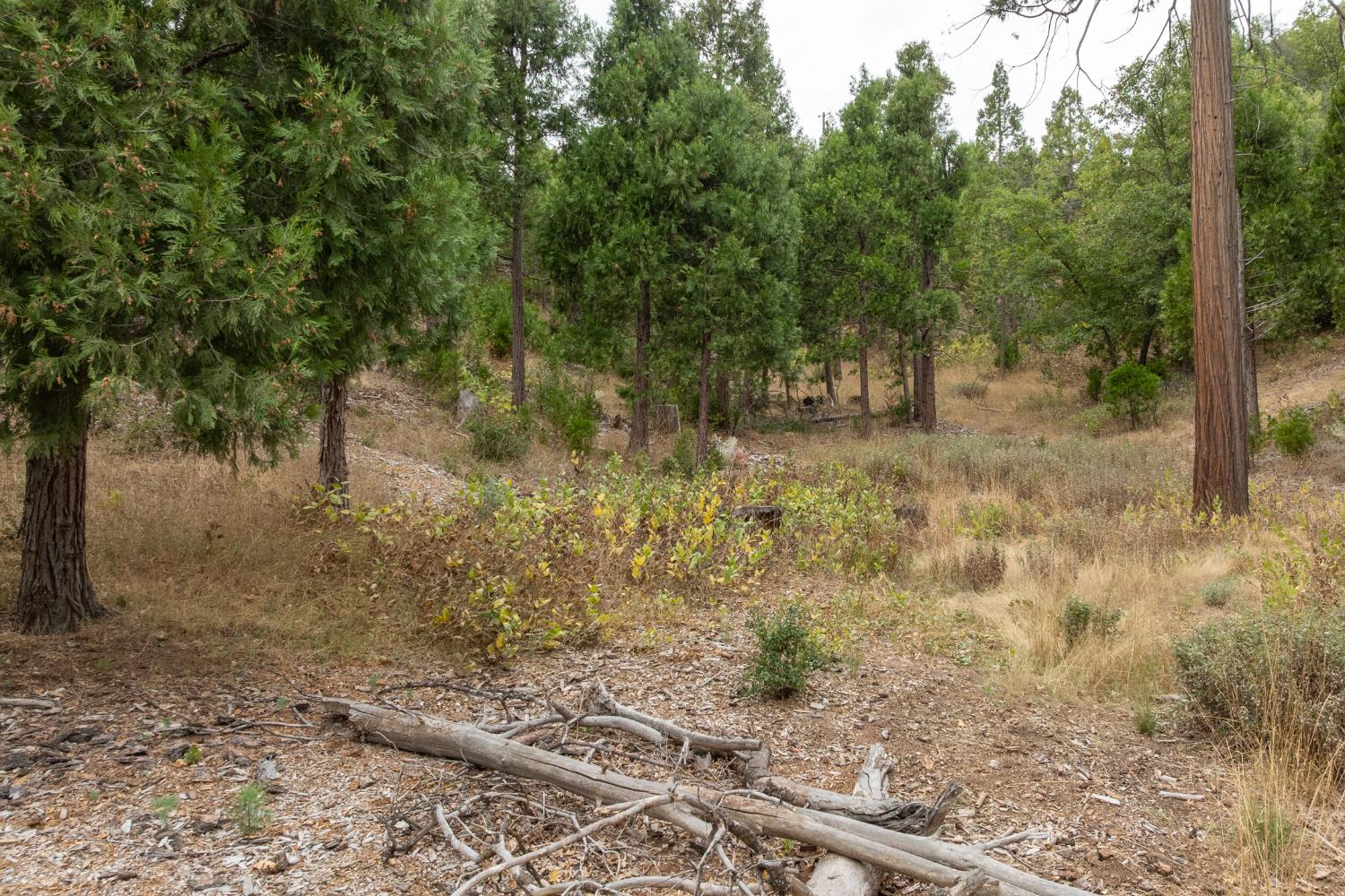 26 Timberview Rd, North Fork, CA 93643