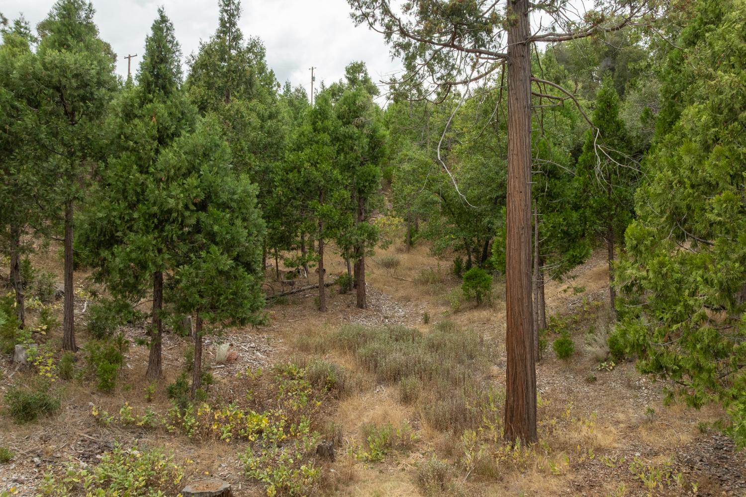 26 Timberview Rd, North Fork, CA 93643