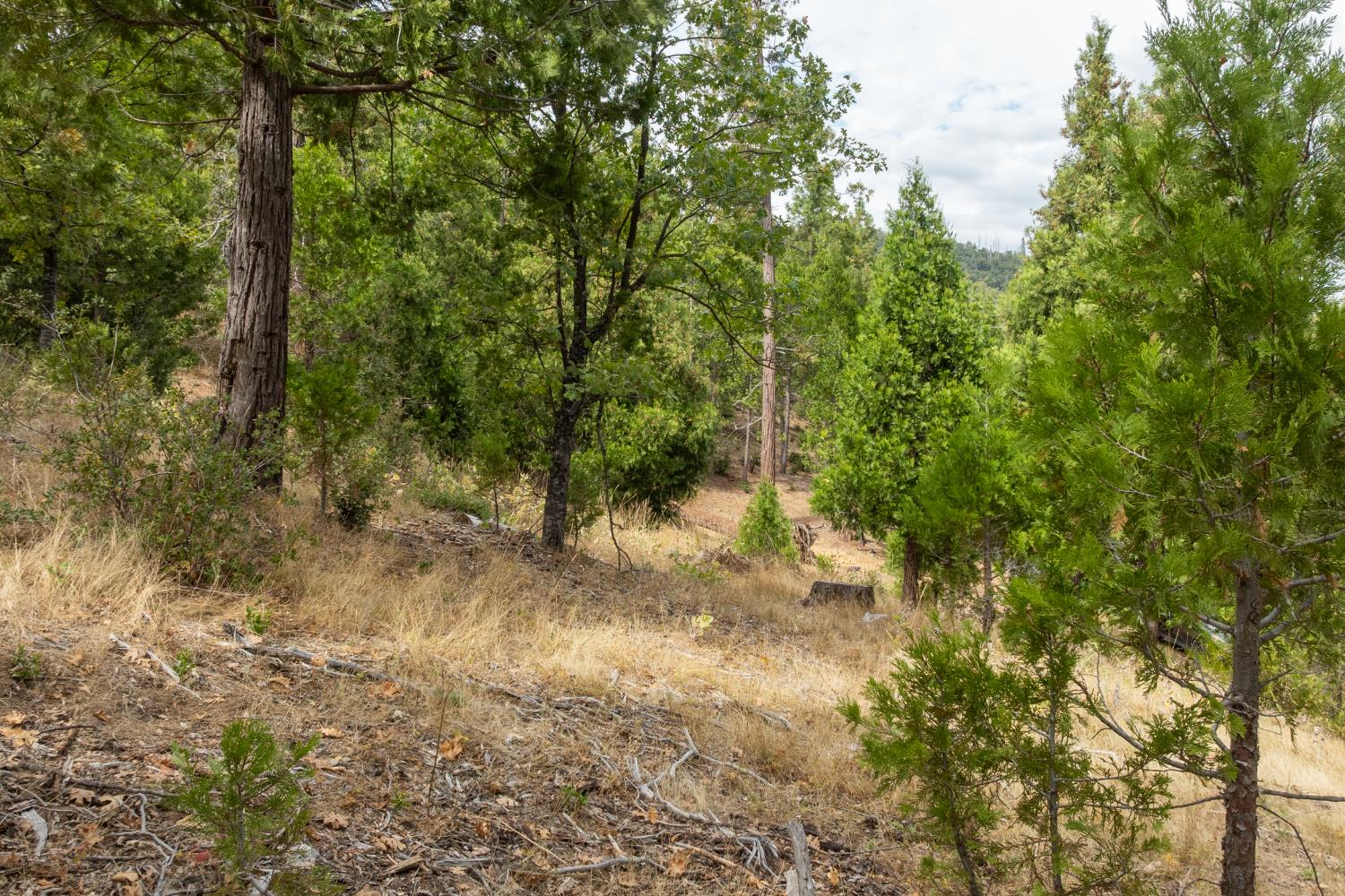 26 Timberview Rd, North Fork, CA 93643