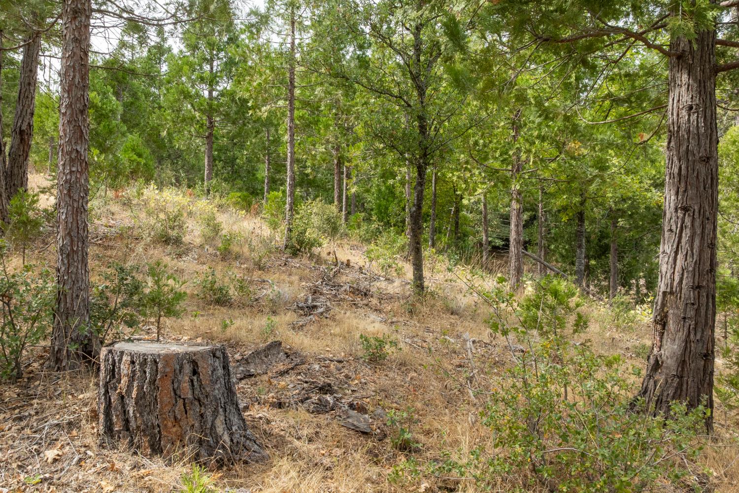 26 Timberview Rd, North Fork, CA 93643