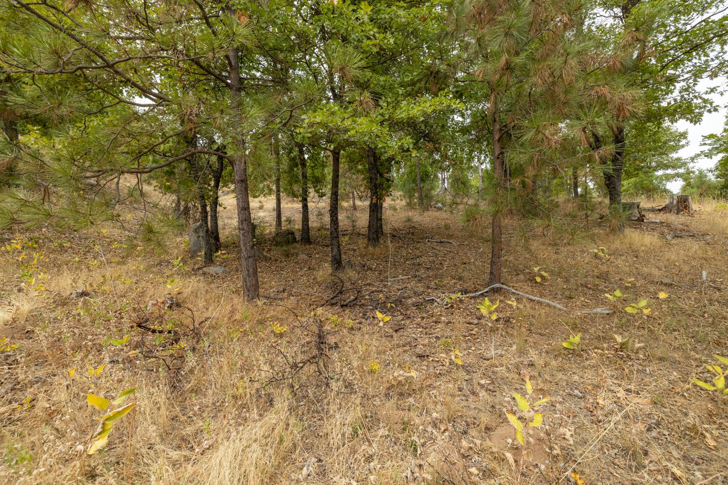 26 Timberview Rd, North Fork, CA 93643