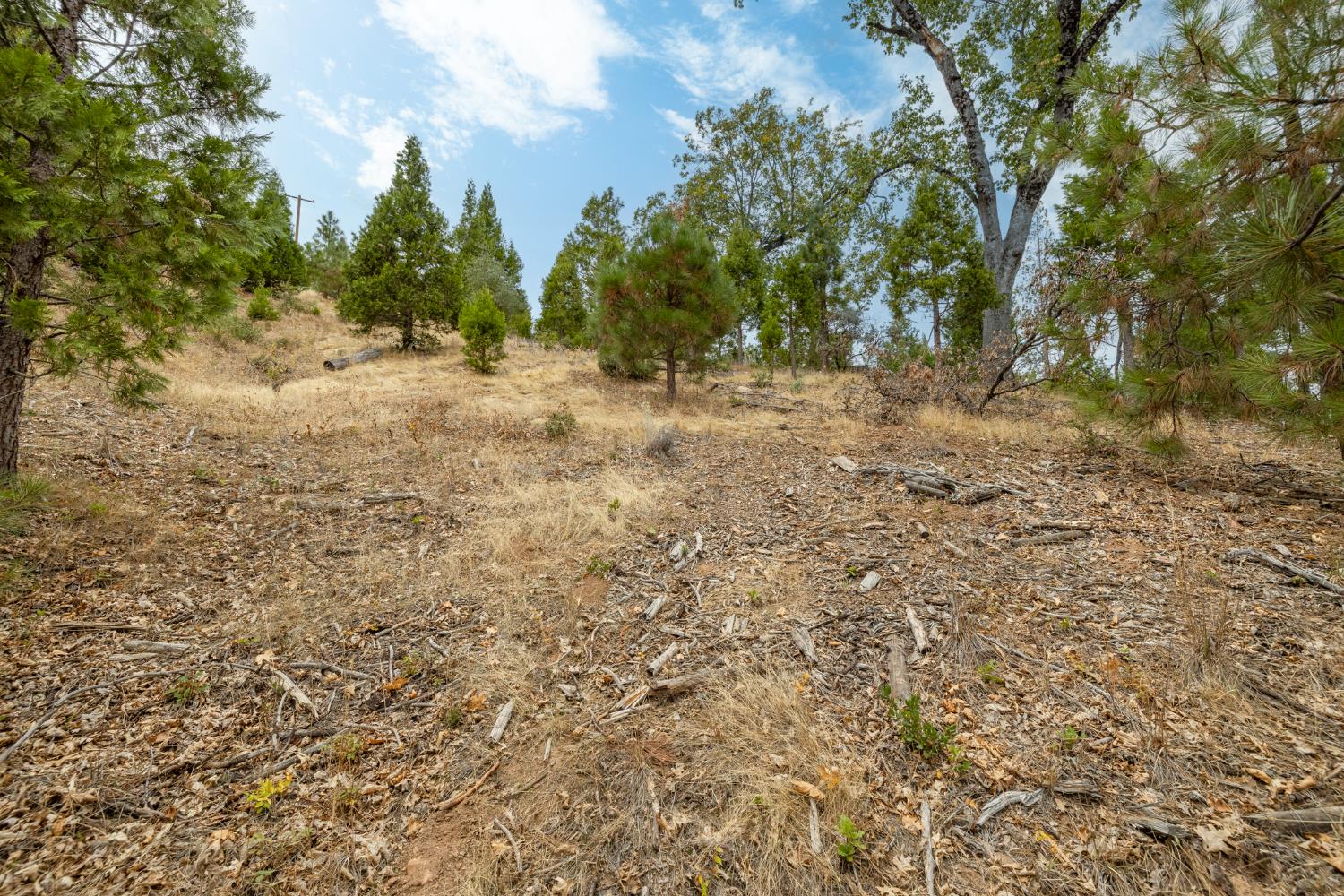 26 Timberview Rd, North Fork, CA 93643