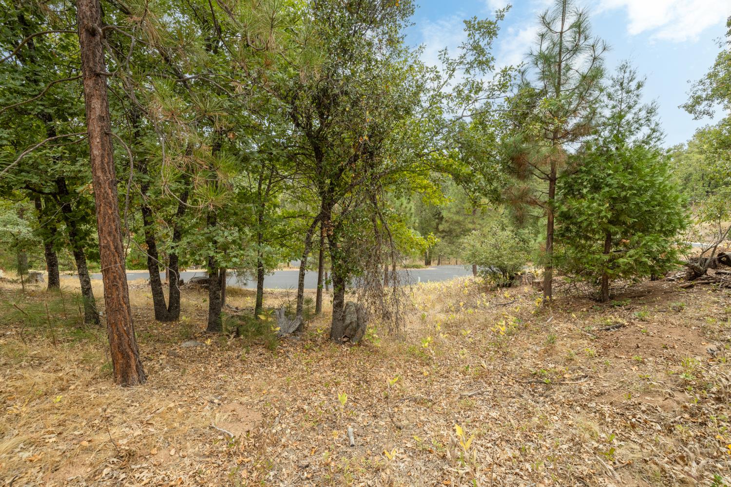 26 Timberview Rd, North Fork, CA 93643